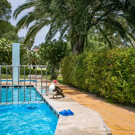 Сasa de vacaciones Casa Govino - Dolce Fare Niente