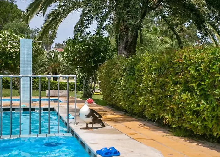 Vakantiehuis Casa Govino - Dolce Fare Niente